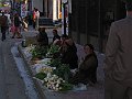 foto 524